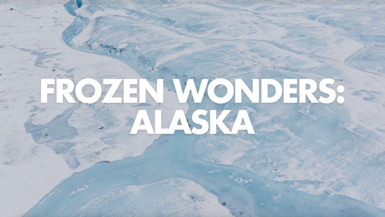 Frozen Wonders – A Wild Ice Skating Adventure Series